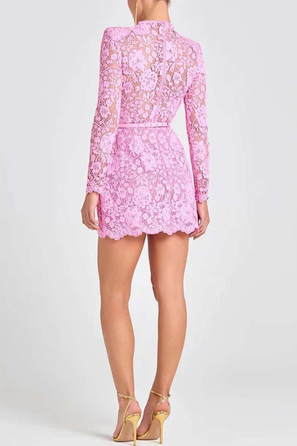Isabelle | Elegant Lace High Neck Long Sleeve Mini Dress