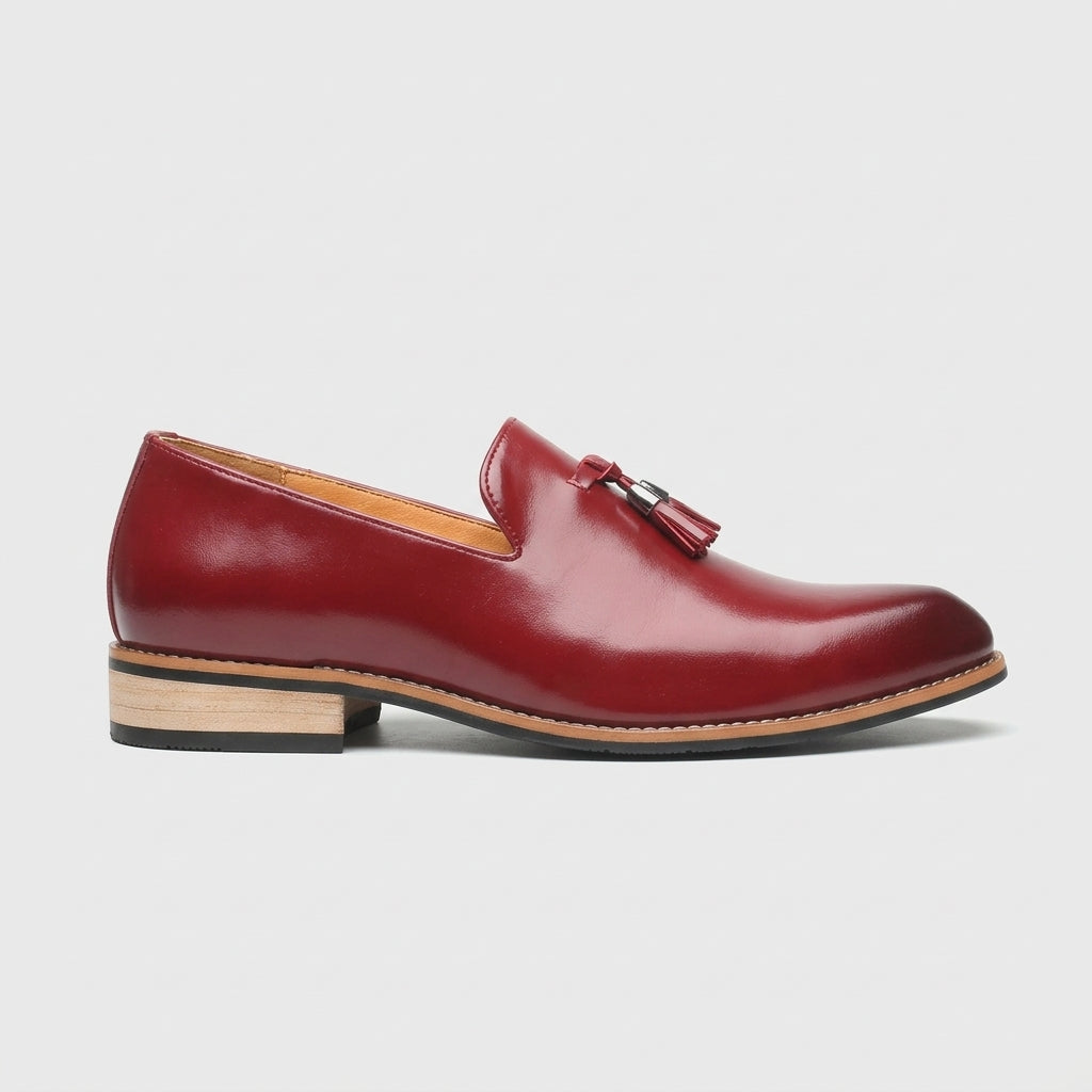 Men's Pointed Toe Tassel Loafers with Slip-On Closure